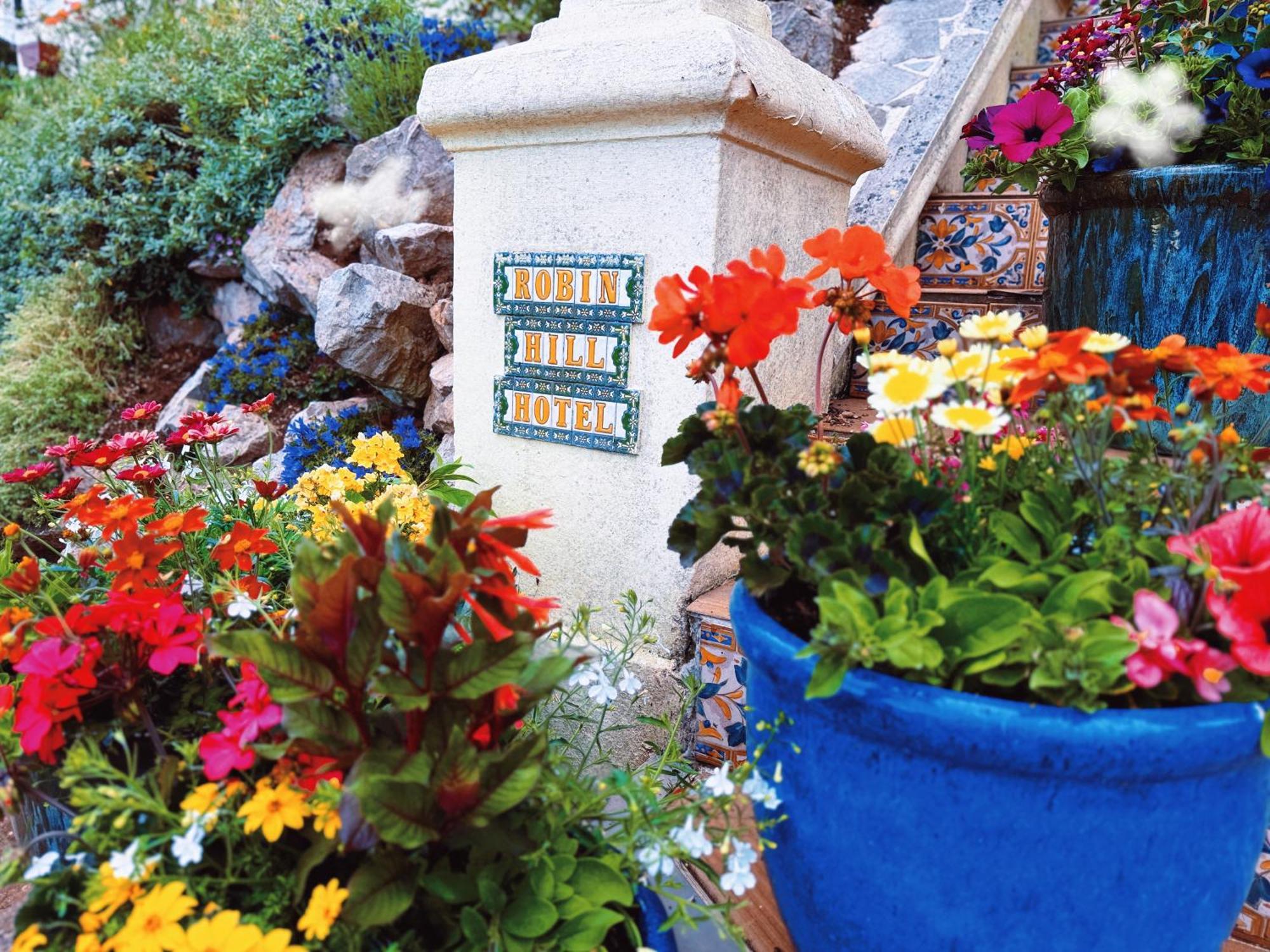 Bed and Breakfast The Robin Hill Torquay Exterior foto