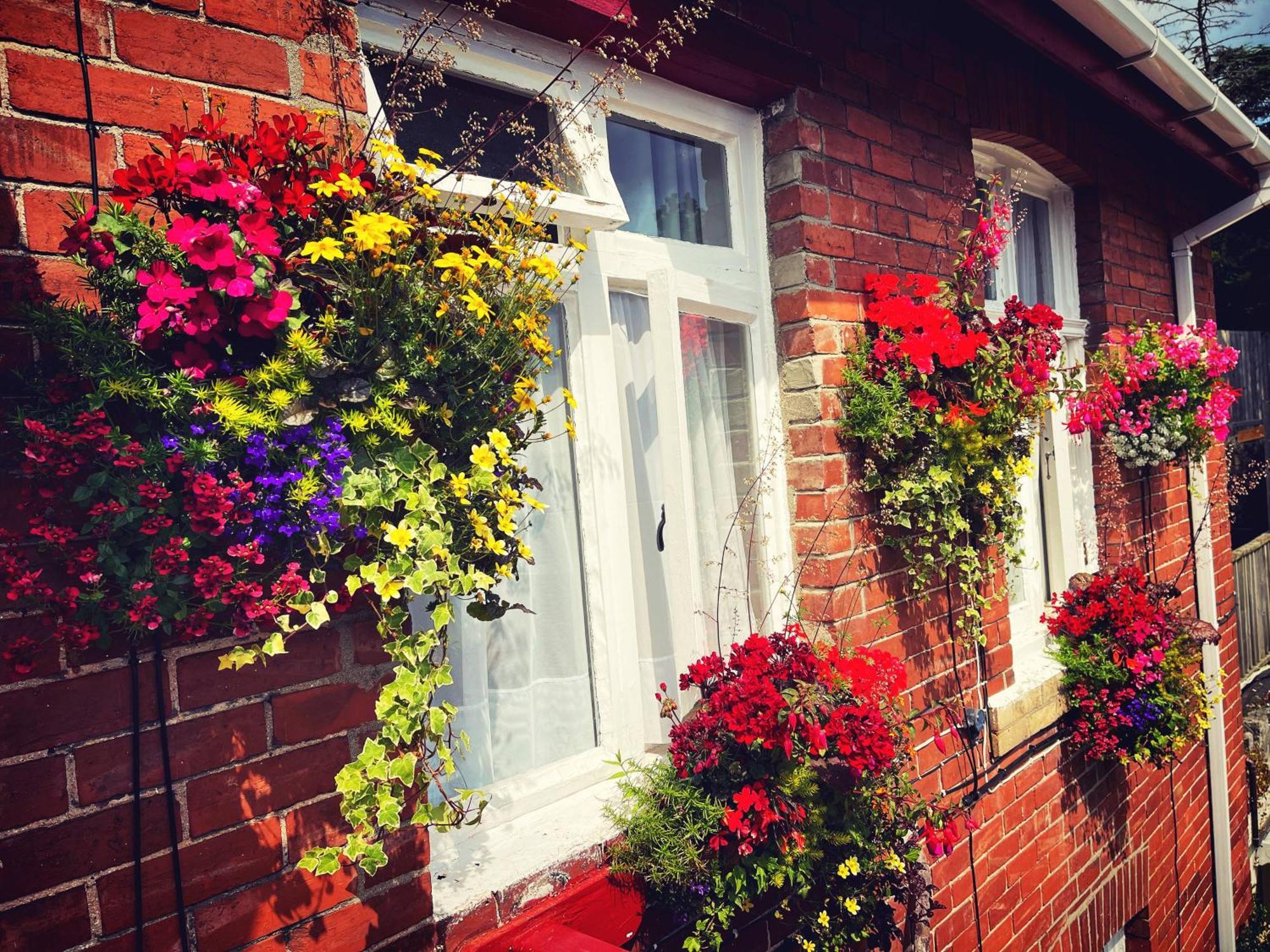 Bed and Breakfast The Robin Hill Torquay Exterior foto