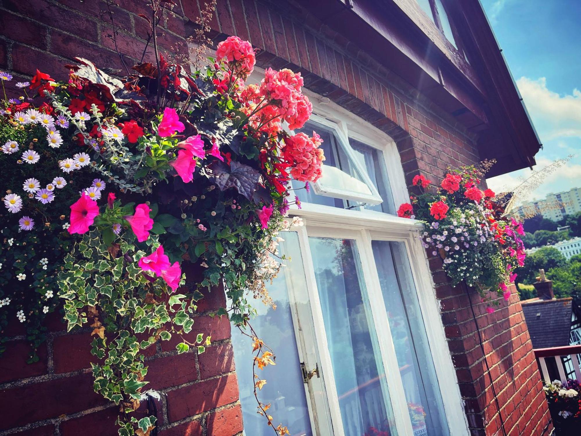 Bed and Breakfast The Robin Hill Torquay Exterior foto